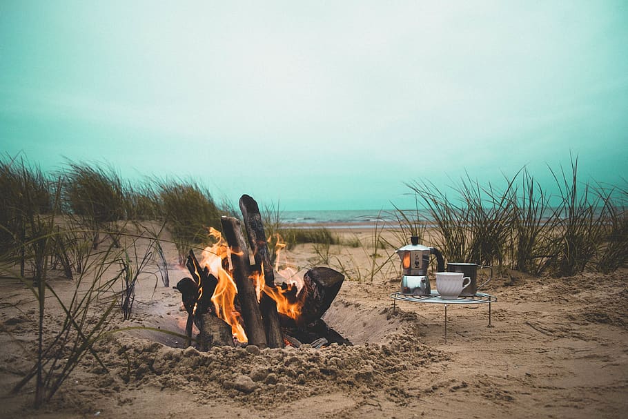 fire, flame, bonfire, campfire, beach, heat, firewood, grass HD wallpaper