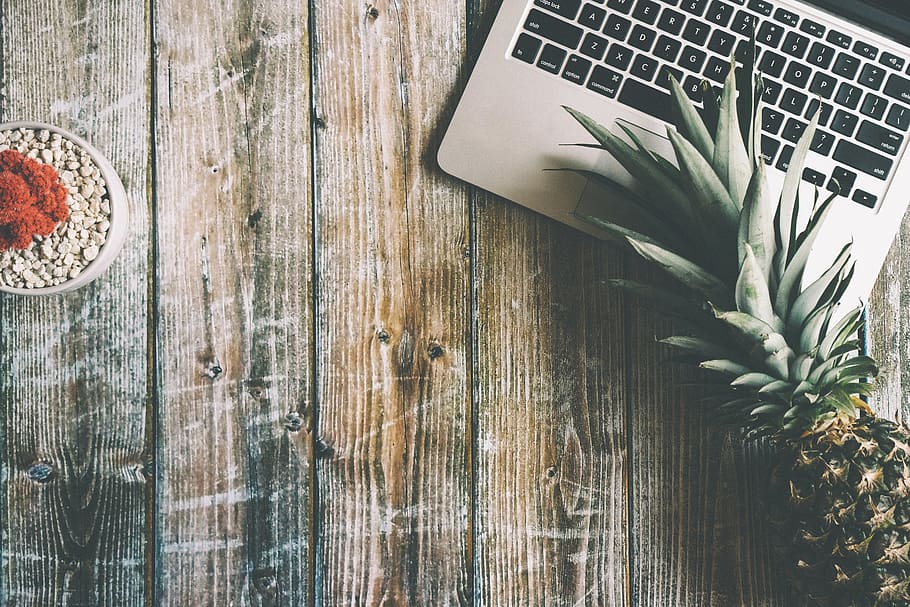Pineapple on Gray Laptop Computer, desk, fruit, pot plant, wooden table HD wallpaper