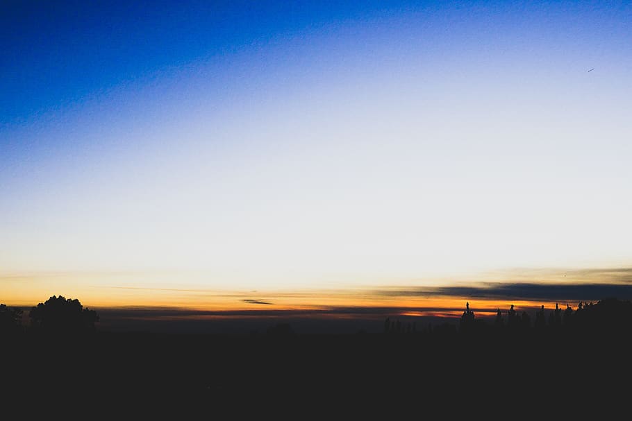 sky, sunset, twilight, trees, blue, orange, silhouette, scenics - nature HD wallpaper