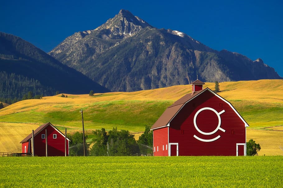 barn, red, construction, farm, wooden, nature, landscape, hill HD wallpaper