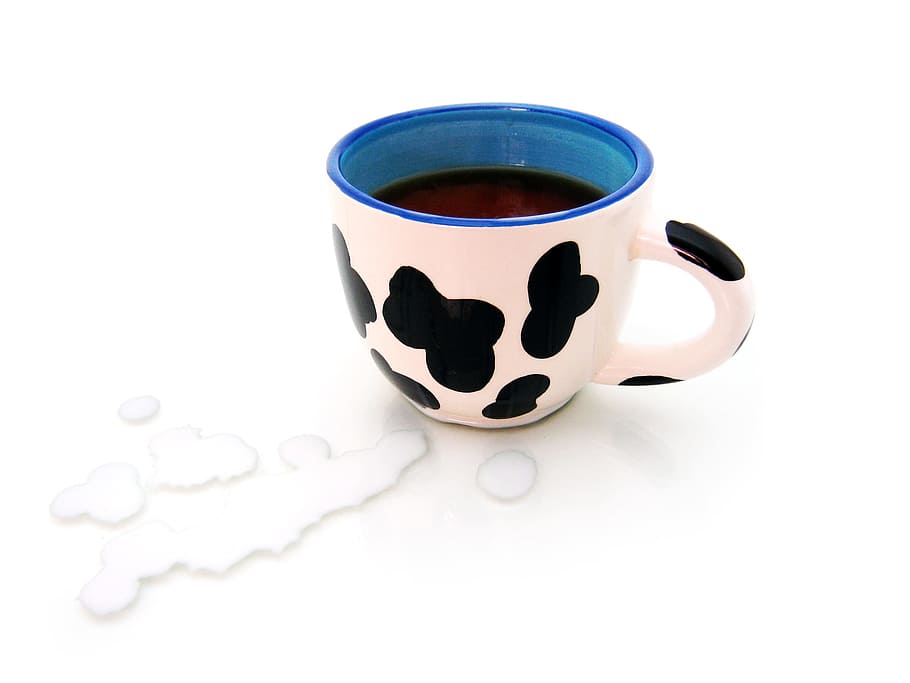 cup, closeup, isolated, nobody, white, beverage, drink, clean HD wallpaper