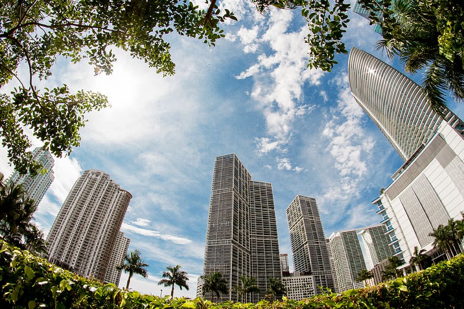 cities, miami, building exterior, built structure, architecture HD wallpaper