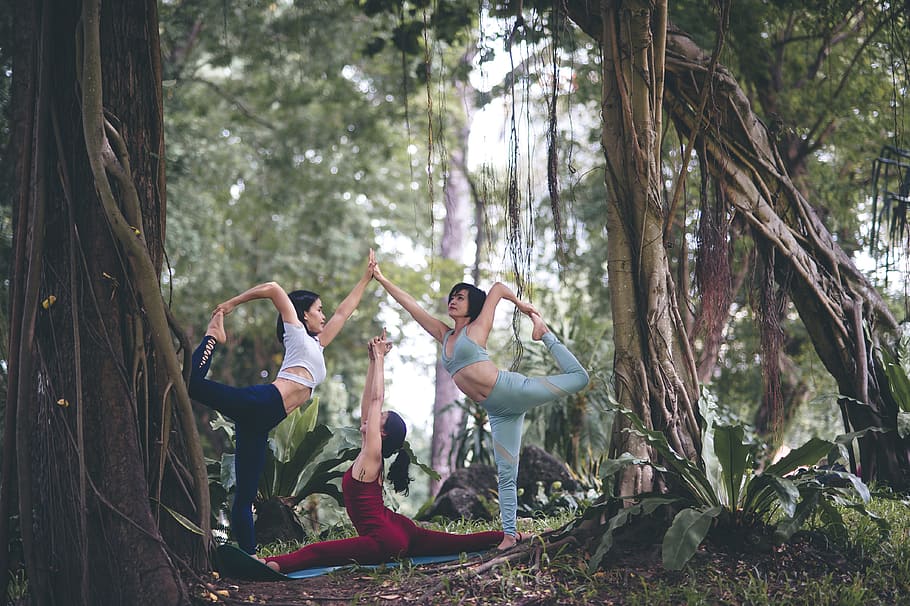 three women doing yoga at forest, person, outdoor, pose, tree