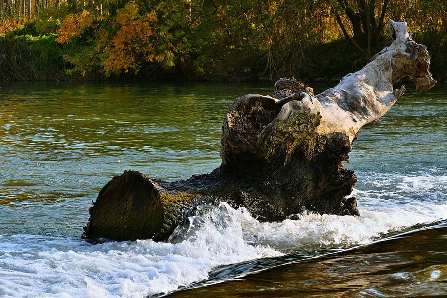 water, stump, waterfall, nature, motion, tree, rock, day, rock - object HD wallpaper