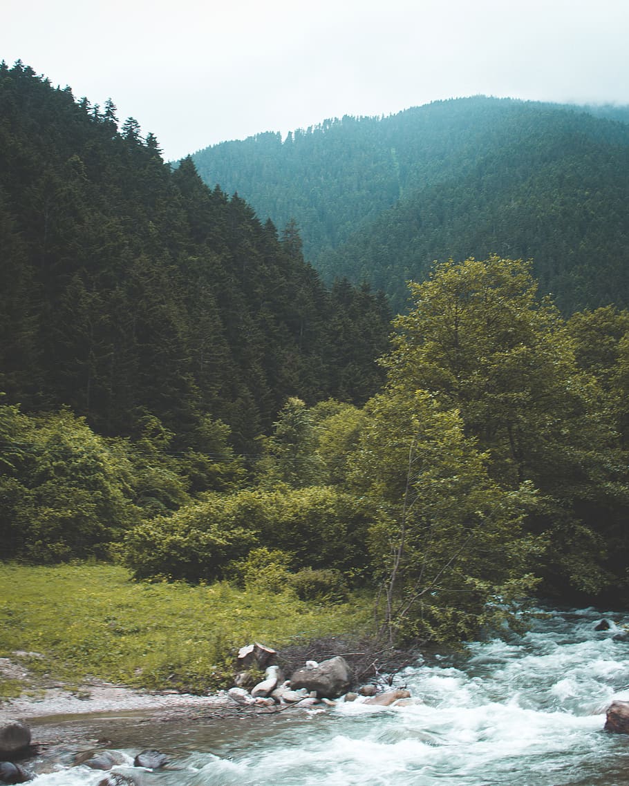 Water Flowing, environment, landscape, mountain, nature, outdoors HD wallpaper