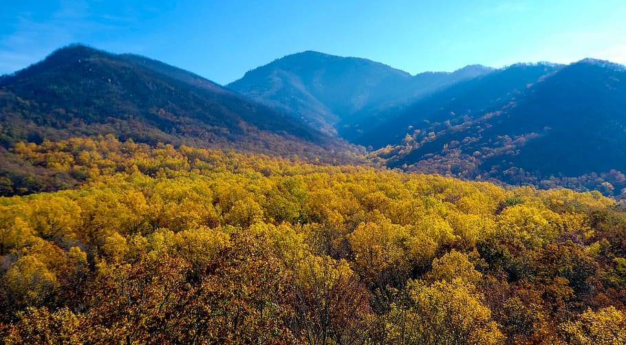 mt. leconte, great smoky mountains, fall color, beauty in nature