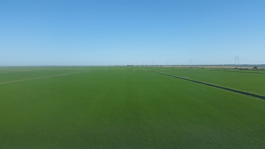 empty, sky, field, green, blue, environment, clear sky, land HD wallpaper