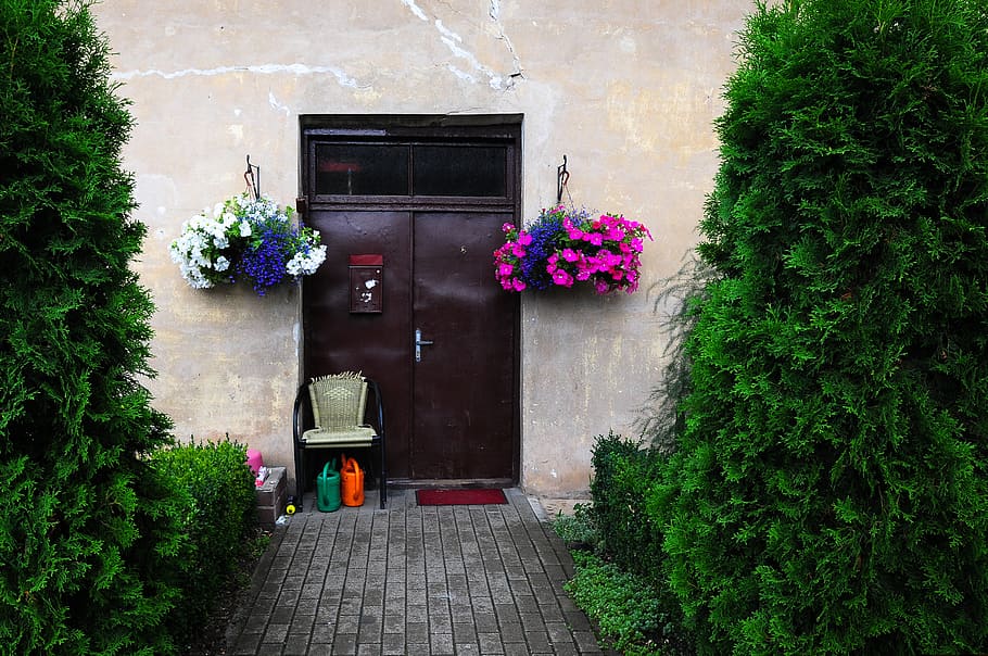 latvia, tukums, plant, built structure, building exterior, architecture HD wallpaper