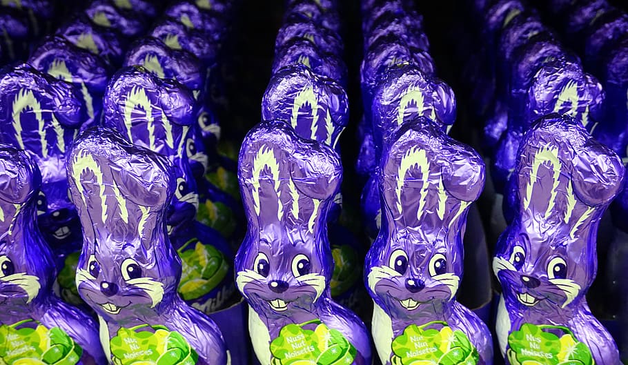 easter bunny, chocolate, candy, tracy, full frame, no people HD wallpaper