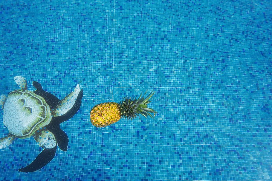 pineapple, dessert, appetizer, fruit, juice, crop, swim, pool HD wallpaper