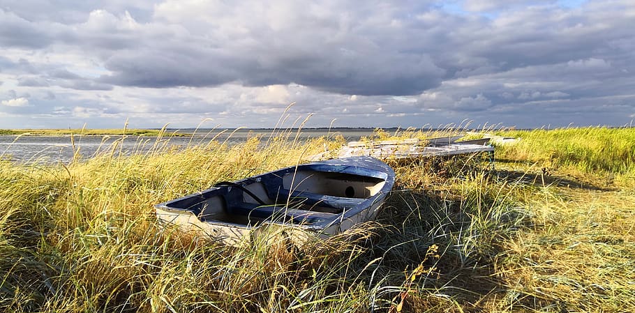 boat, clouds, beach, reed, blue, storm, gloomy, romance, denmark HD wallpaper