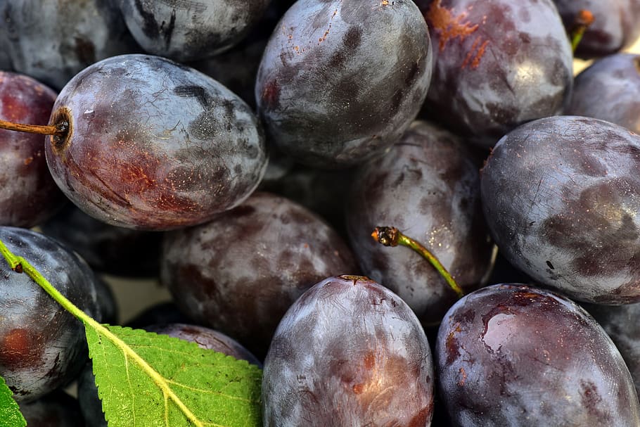 plums, background, fruit, stone fruit, ripe, vitamins, fruits HD wallpaper