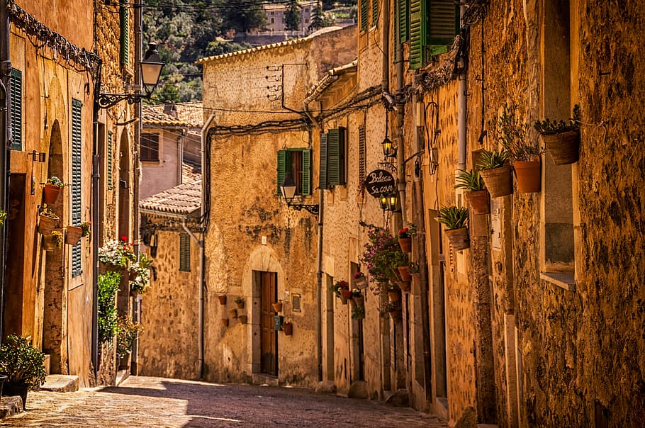 architecture, building, infrastructure, establishment, windows HD wallpaper