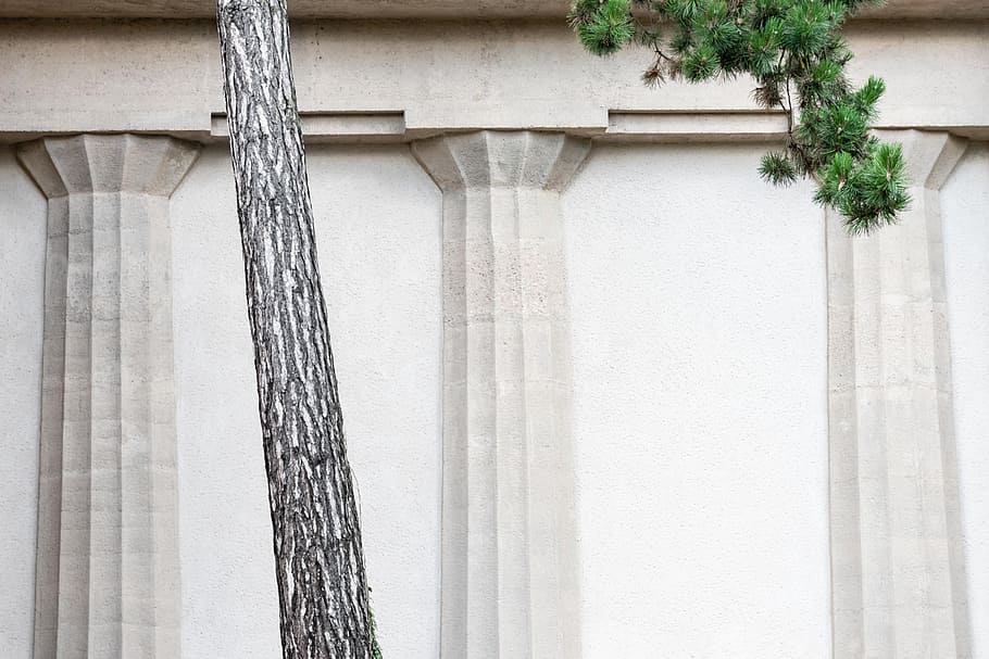green leaf tree near beige painted wall, building, column, pillar HD wallpaper