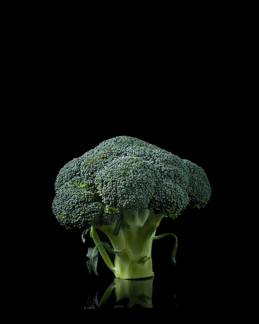 green broccoli, studio shot, black background, vegetable, freshness HD wallpaper
