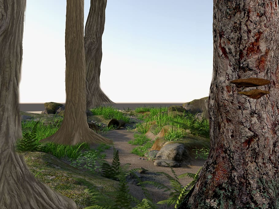 tree, forest, landscape, graphic, illustration, 3drender, rendering HD wallpaper