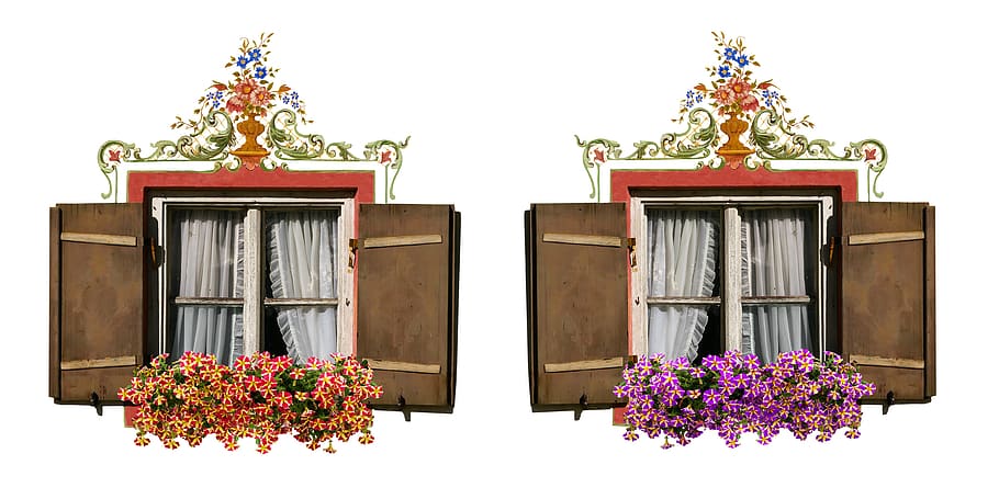 architecture, building, window, front, shutter, flowers, floral decorations HD wallpaper