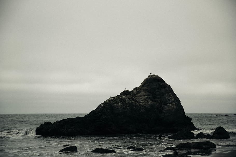 ocean, water, birds, rock, shore, beach, sea, rock - object HD wallpaper