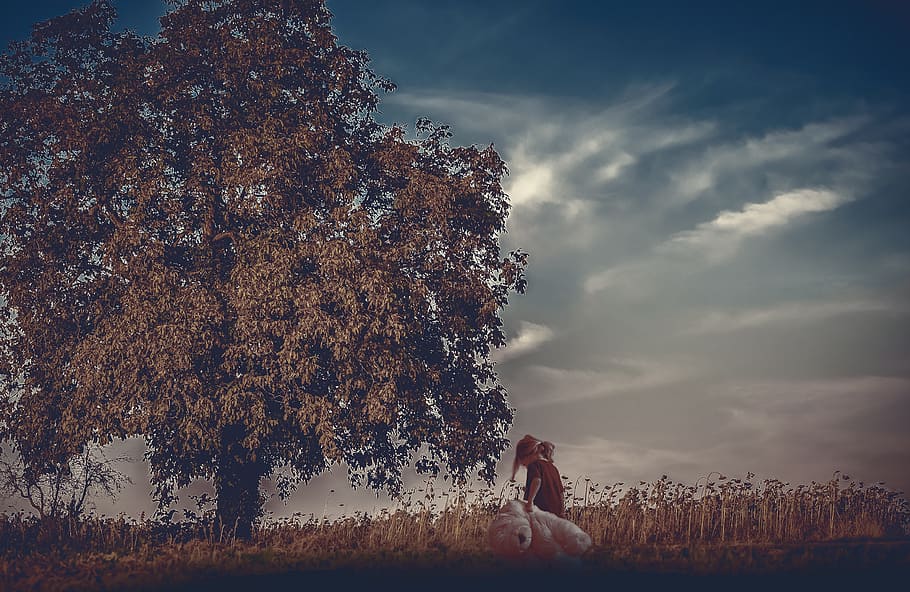kid, child, playing, tree, childhood, boy, young, walking, nature HD wallpaper