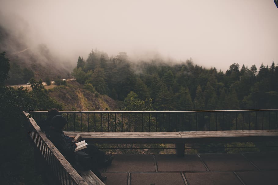 grey, sky, fog, reading, book, people, sitting, wood, bench HD wallpaper