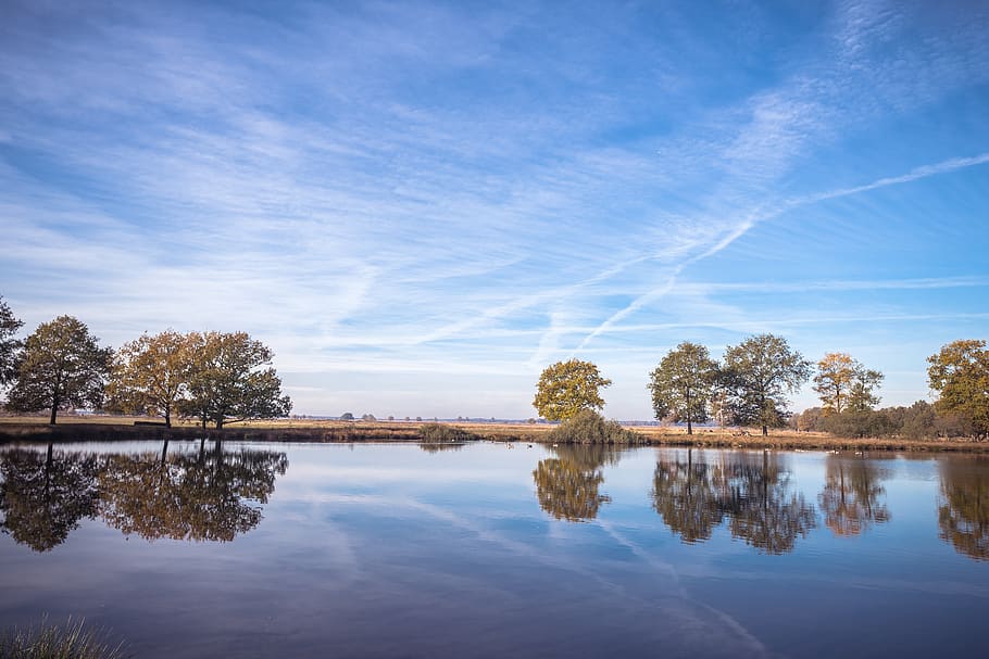 reflection, trees, sky, nature, landscape, mirroring, reflections HD wallpaper