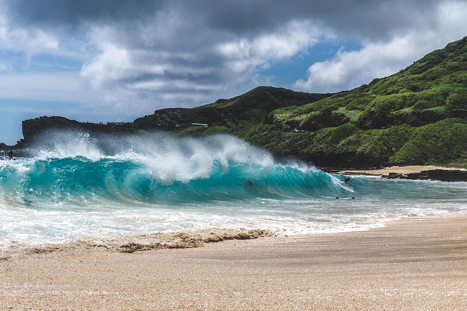 person surfing wave, ocean, water, beach, coast, sea, nature HD wallpaper