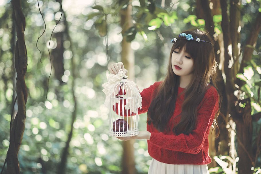 Woman Holding Birdcage Near Trees, attractive, beautiful, cute HD wallpaper
