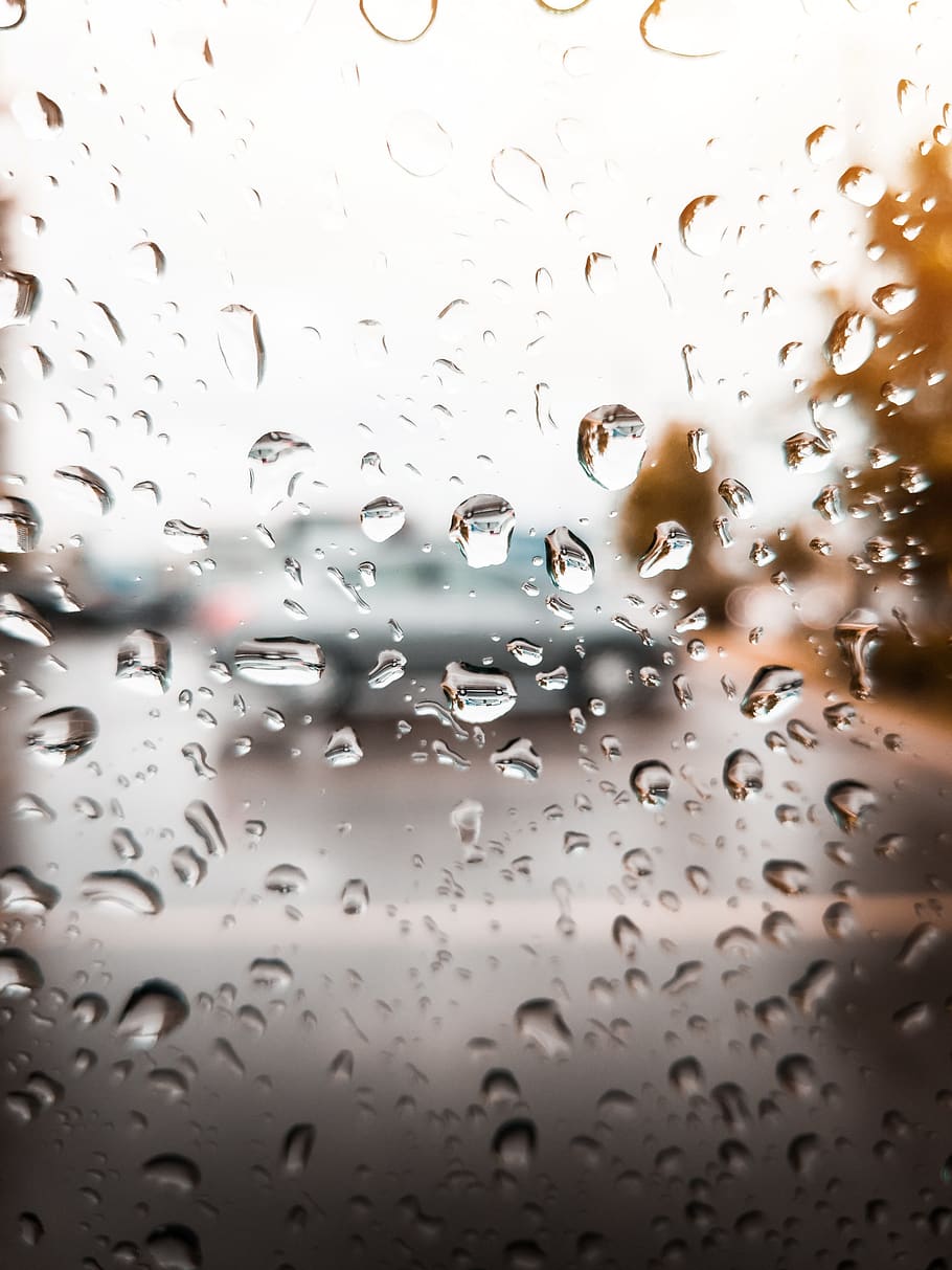 canada, hamilton, rain, nature, macro, hd wallpaper, drop, water HD wallpaper