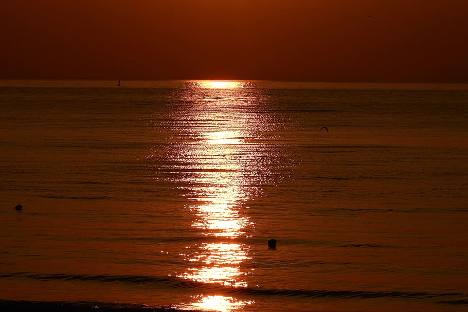 sunset, twilight, sea, water, reflection, sky, beauty in nature HD wallpaper