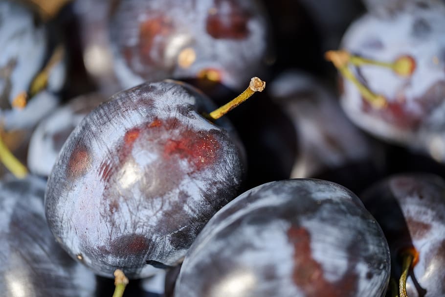 plums, fruit, stone fruit, fruits, vitamins, healthy, healthy eating HD wallpaper