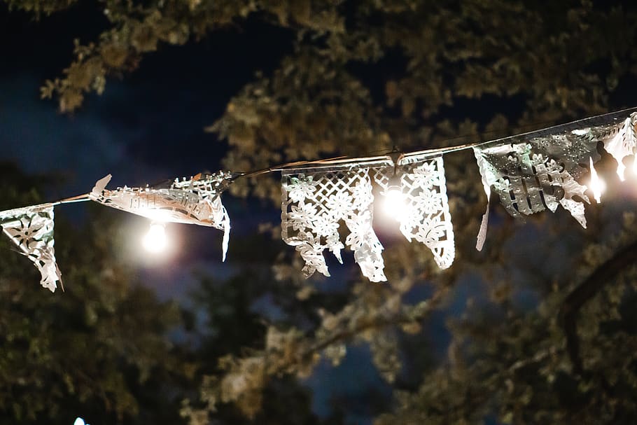 mexican, night, light, hanging, tree, no people, nature, plant HD wallpaper