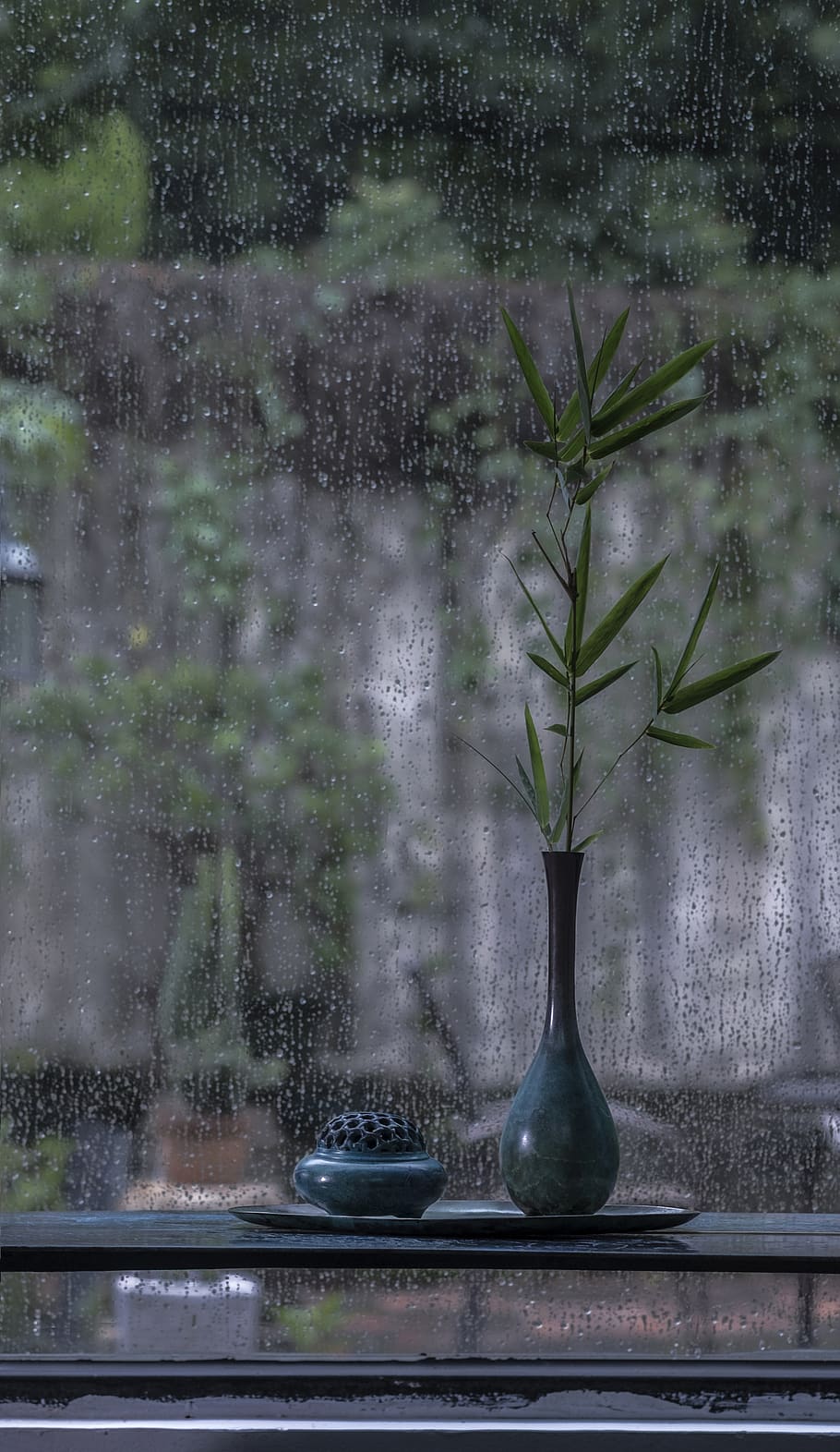 china, guangzhou, plant, water, nature, no people, growth, glass - material HD wallpaper