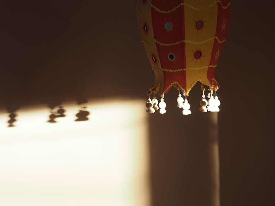 shadow, lamp, india, indoors, studio shot, close-up, animal HD wallpaper