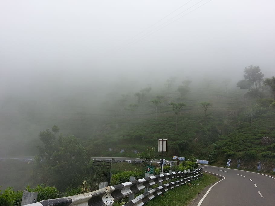 india, kotagiri, mist, greenery, hillside, road, evergreen, HD wallpaper