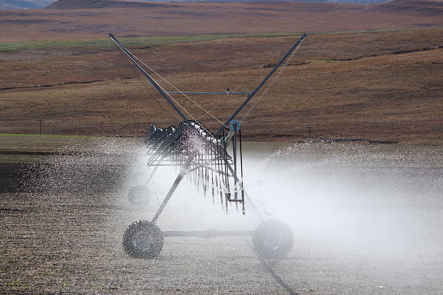 irrigation, irrigation in south africa, irrigation tool, day, HD wallpaper