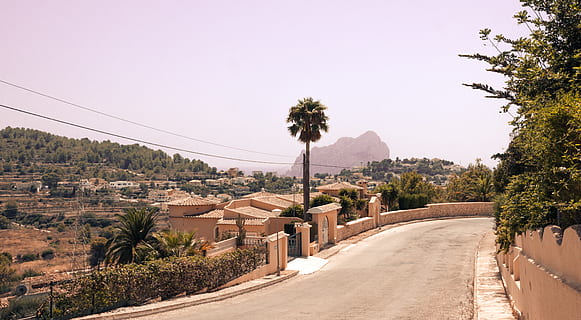 spain, calp, hill, trees, houses, palm tree, plant, nature HD wallpaper