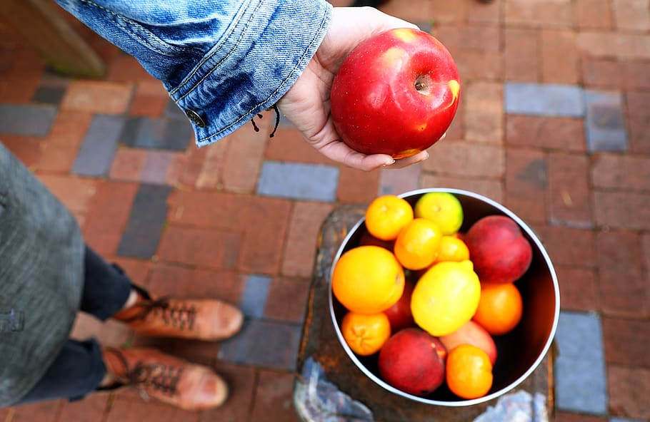 Person Holding Apple Fruit, apples, assorted, bricks, bucket HD wallpaper