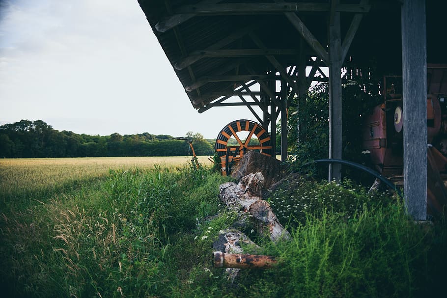 plant during daytime, machine, countryside, rural, building, outdoors HD wallpaper