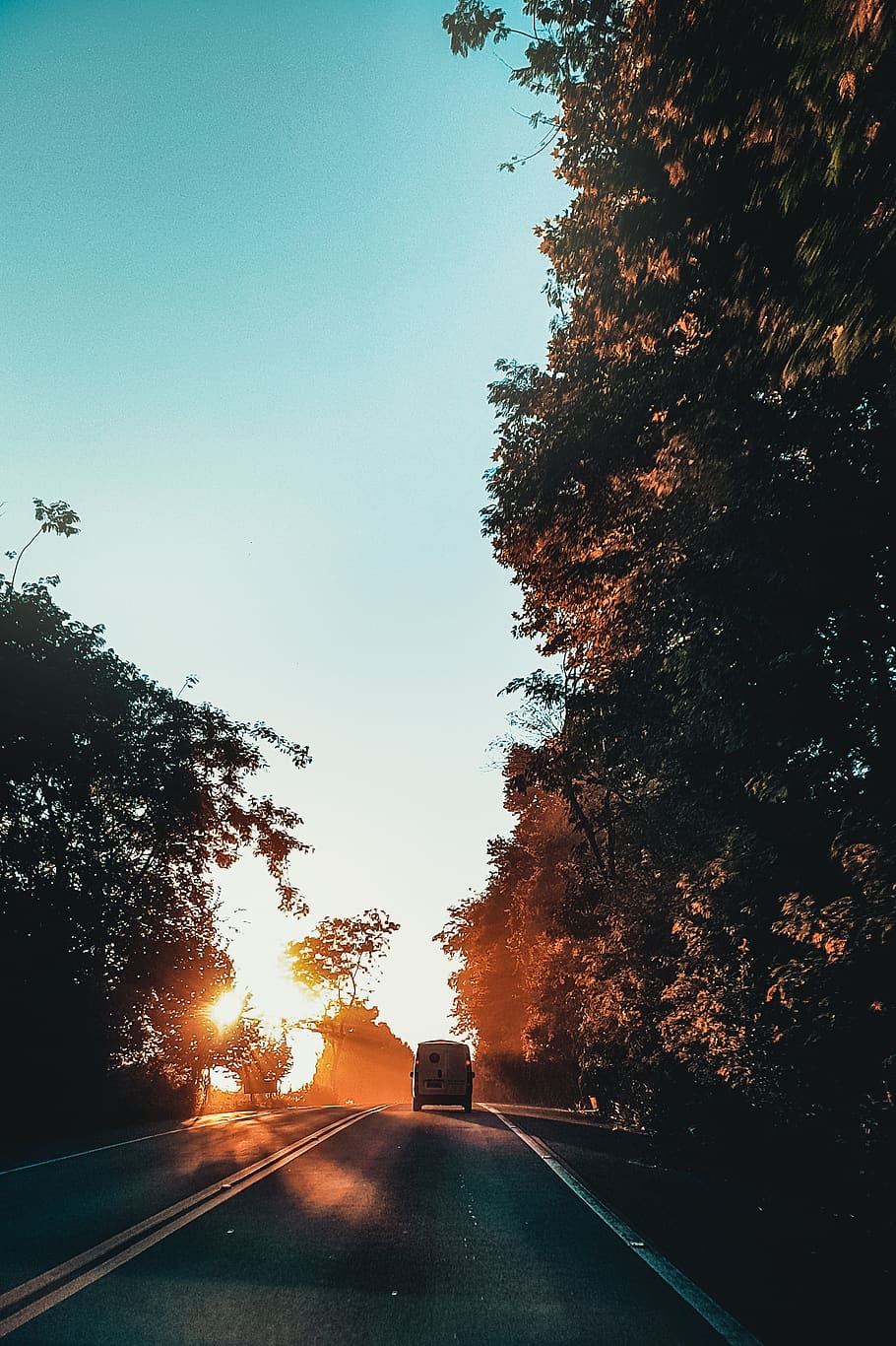Vehicle On Road During Golden Hour, dawn, drive, transportation system HD wallpaper