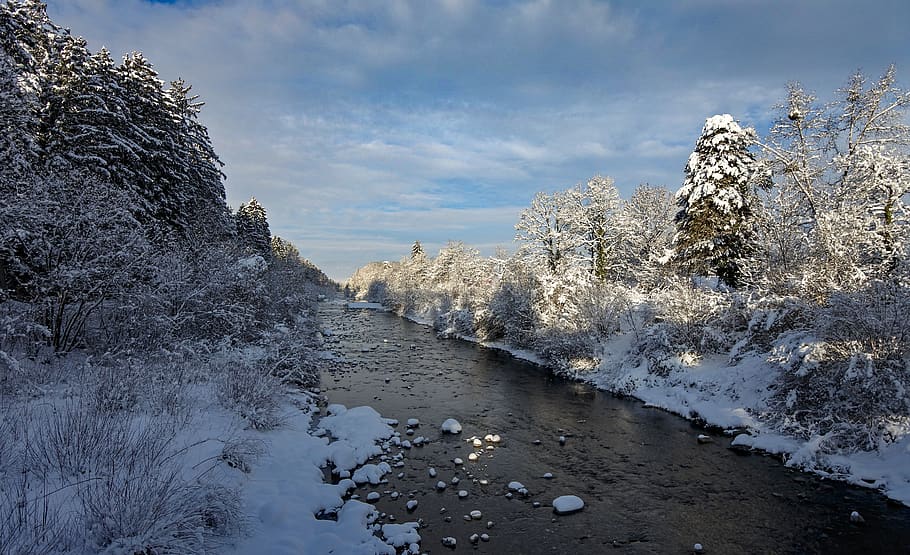 bach, winter, snow, water, river, waters, nature, creek, plant HD wallpaper