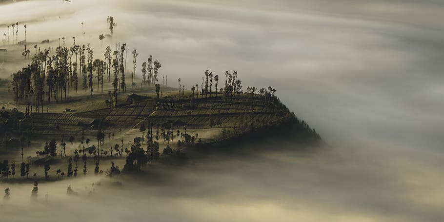 bird's eye view, cliff, cliffside, daylight, fog, foggy, from above HD wallpaper