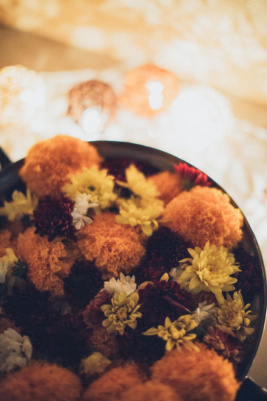 Selective Focus Photography of Flowers, assorted, beautiful flowers HD wallpaper
