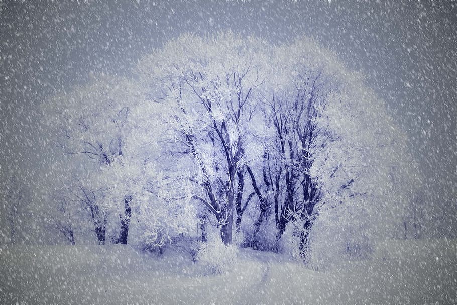 draw, drawing, art, sketch, paint, painting, winter, snow, cold temperature HD wallpaper