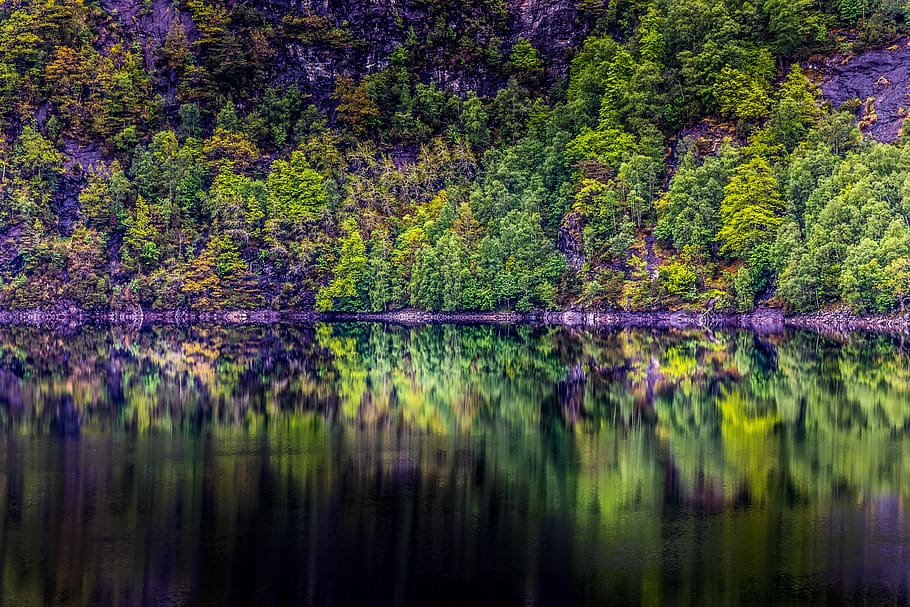 norway, forest, lake, reflection, landscape, tree, summer, mountains HD wallpaper