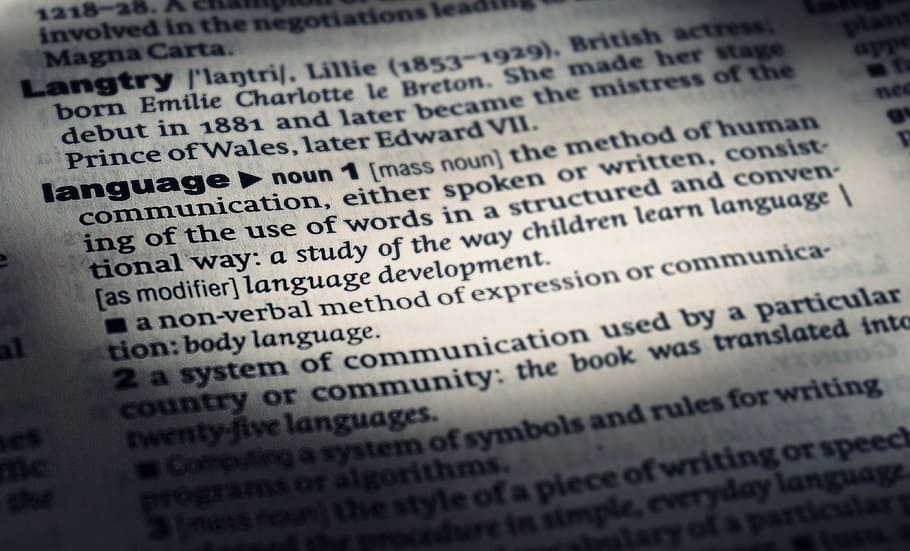 dictionary, language, words, books, text, reading, selective focus HD wallpaper