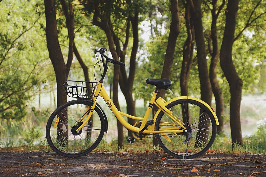 yellow commuter bike parked near trees, bicycle, transportation, HD wallpaper