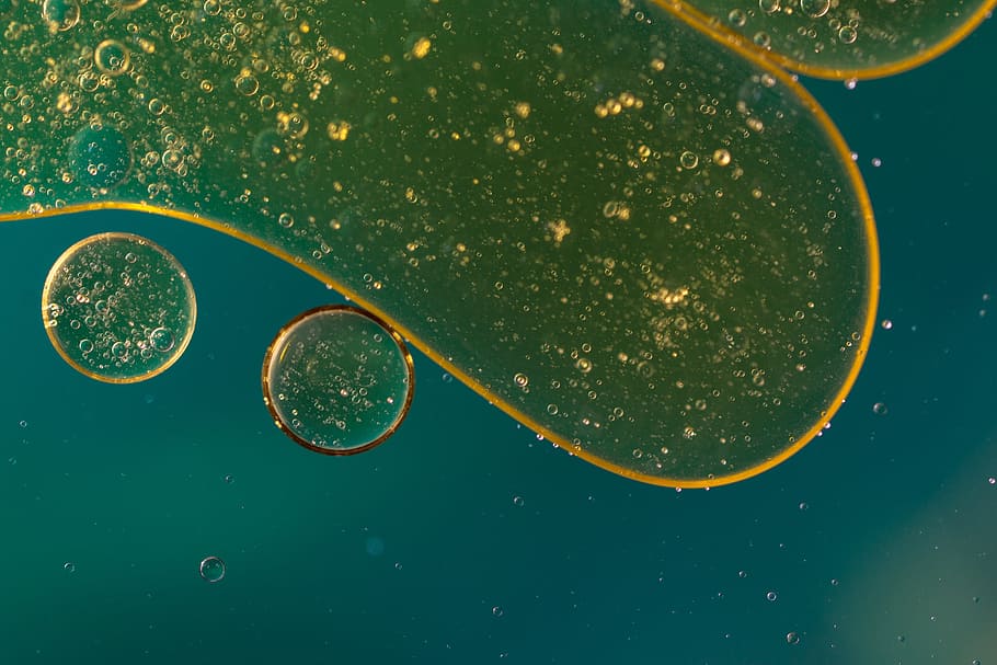 water, oil, oily, nature, texture, circle, silicon, liquid, HD wallpaper