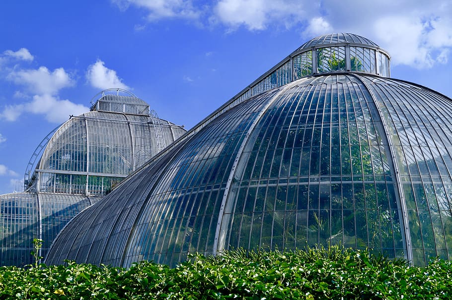 glass greenhouse, outdoors, nature, sky, plant, vegetation, electrical device