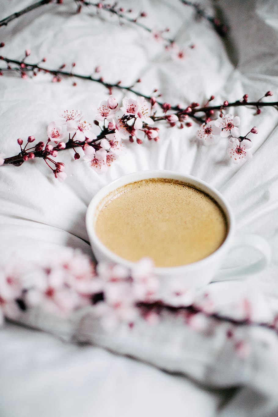 white teacup on white textile, freshness, food and drink, plant HD wallpaper