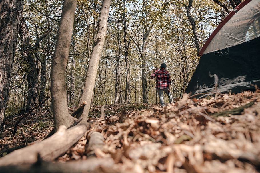Camper Standing Beside Tent With Axe Photo, Trees, Outdoor, Camping HD wallpaper